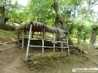 Sierra del Caurel:Courel; Lugo_Galicia; puente de diciembre,del pilar boca del asno